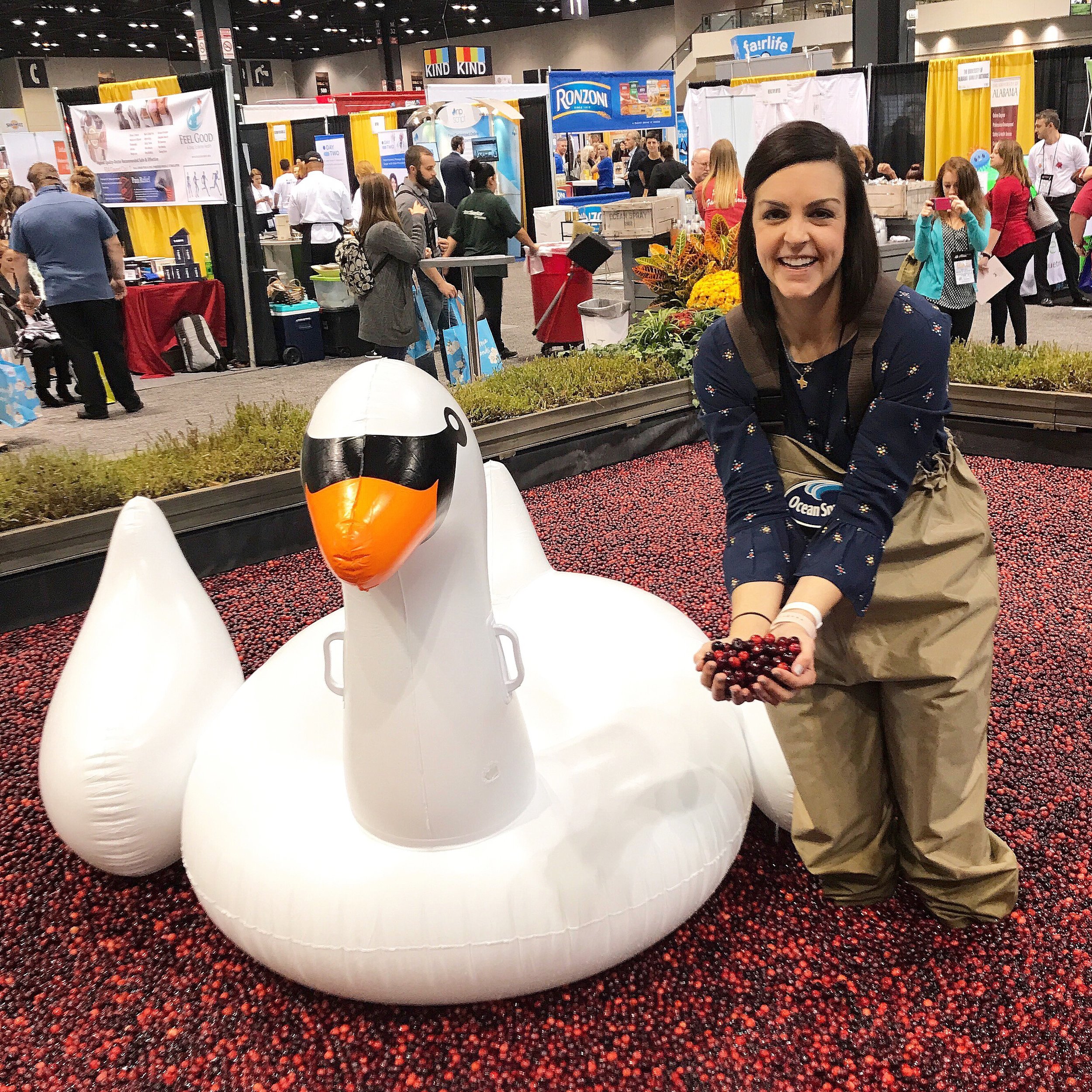  Me...in the cranberry bog... inside the Chicago convention center... in waders and boots... next to a massive inflatable swan. #totallynormal 