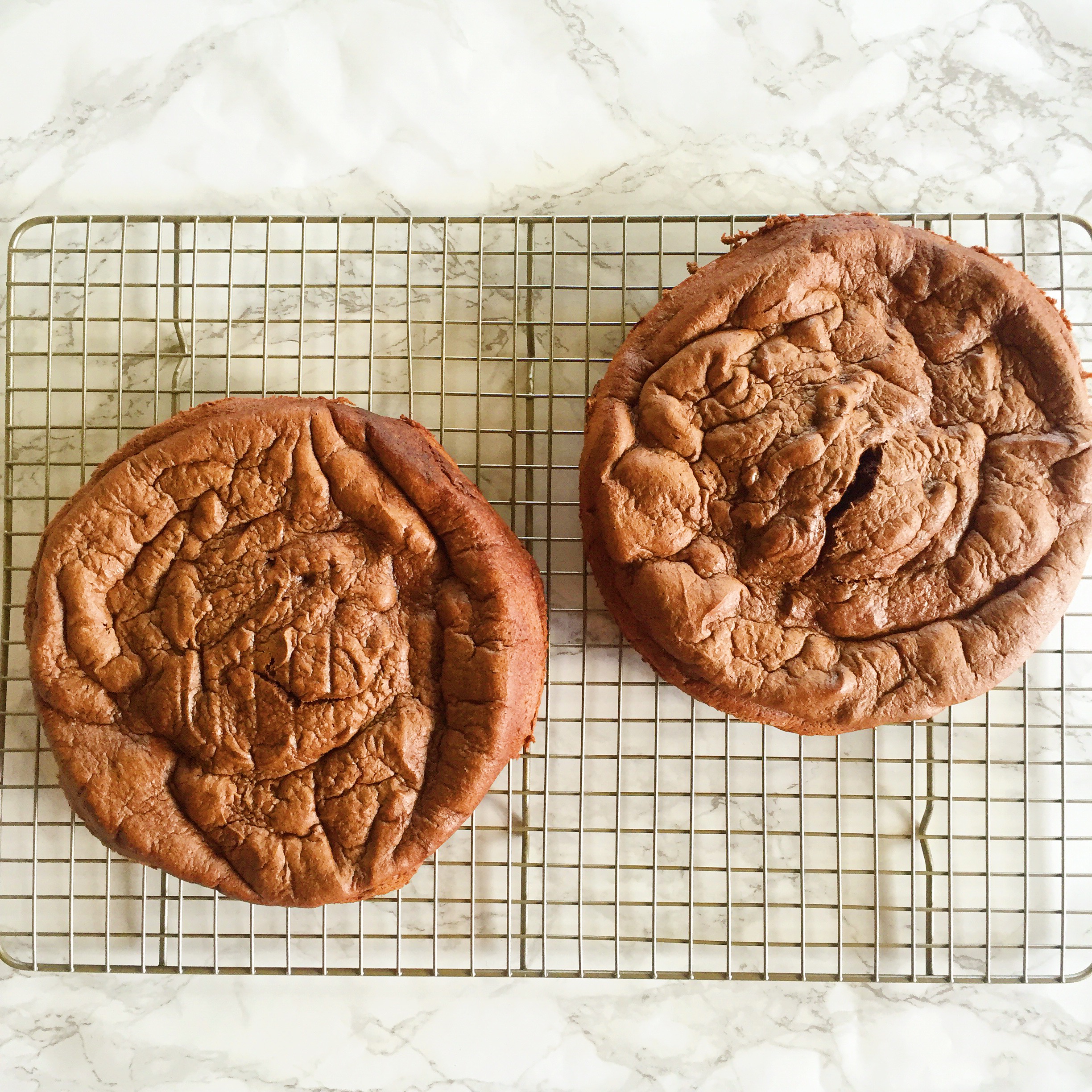 gluten free sponge cake chocolate