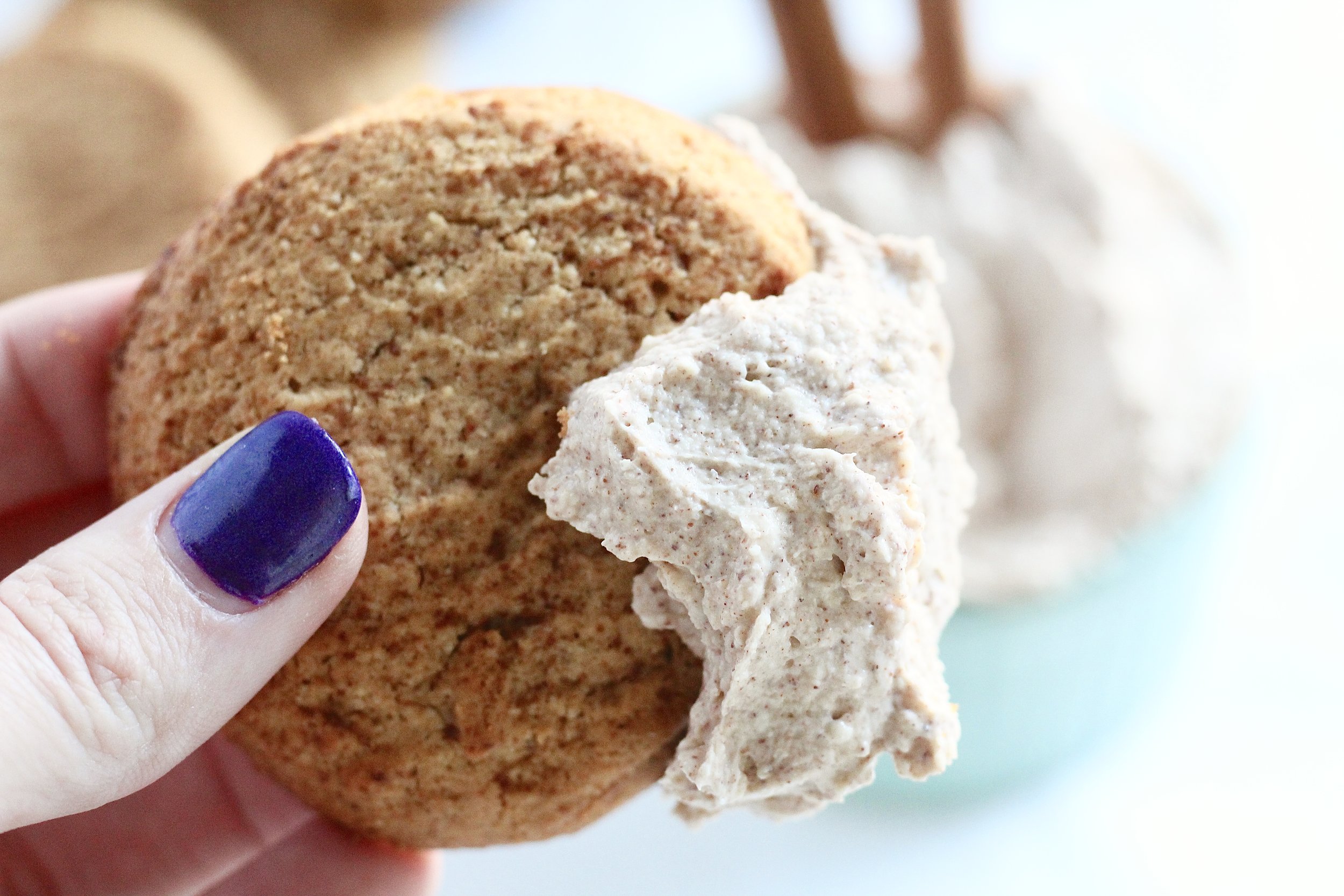  Holiday Snickerdoodle Cookie Dip 