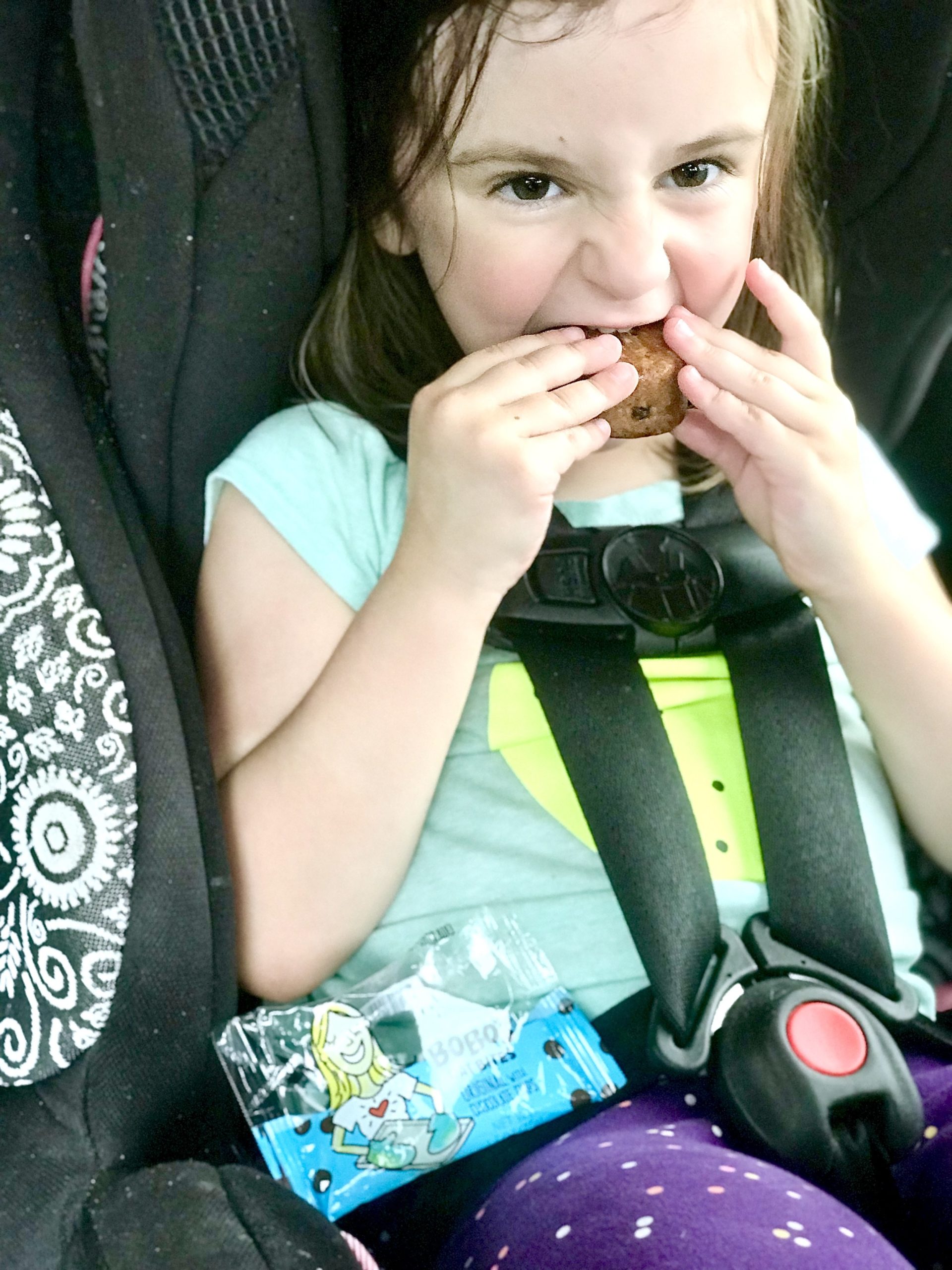 The Best Snacks Solution for Road Trips with Kids - The Haywire Honey