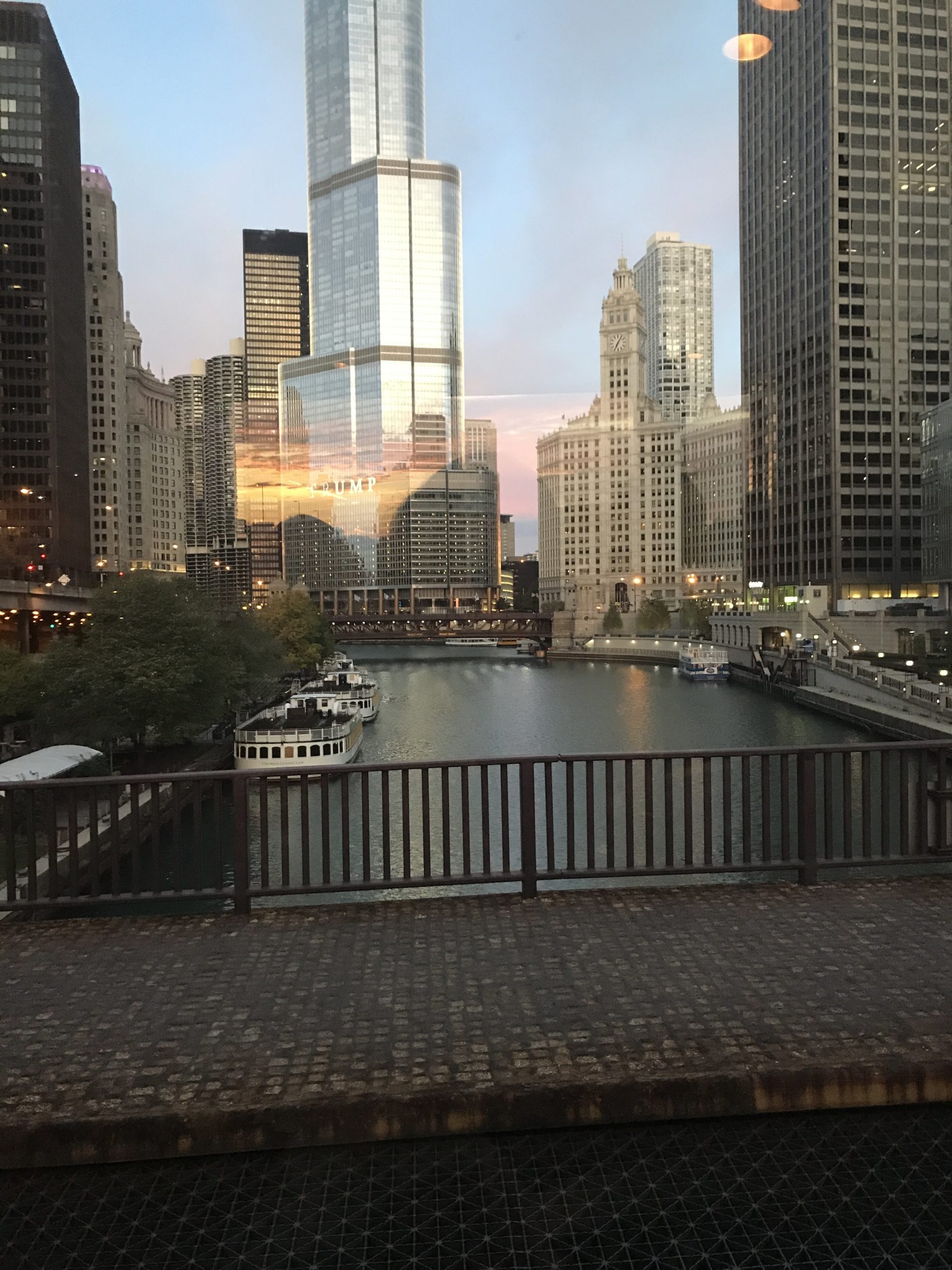view of downtown chicago