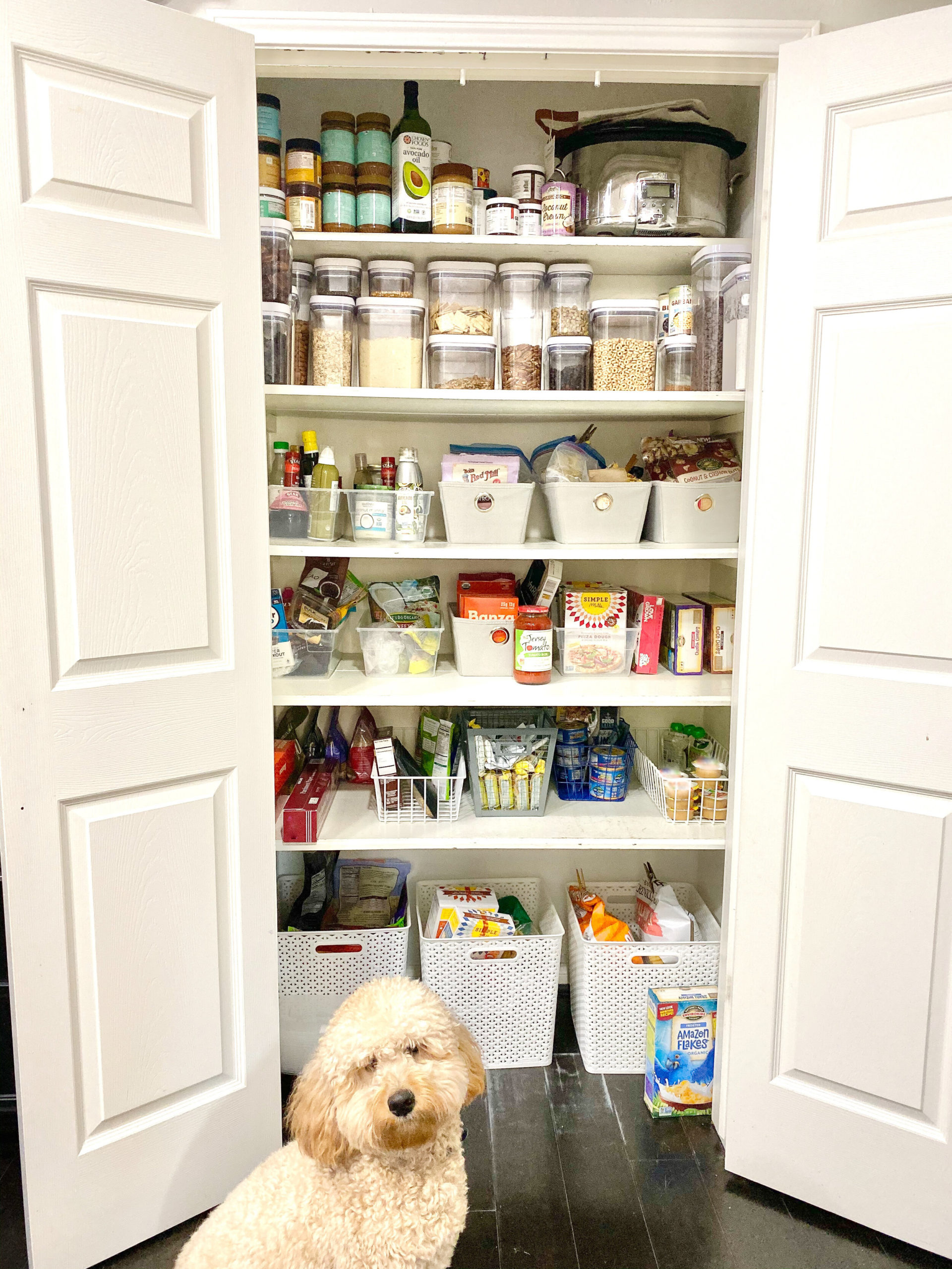 Gluten Free for Beginners - A Saucy Kitchen