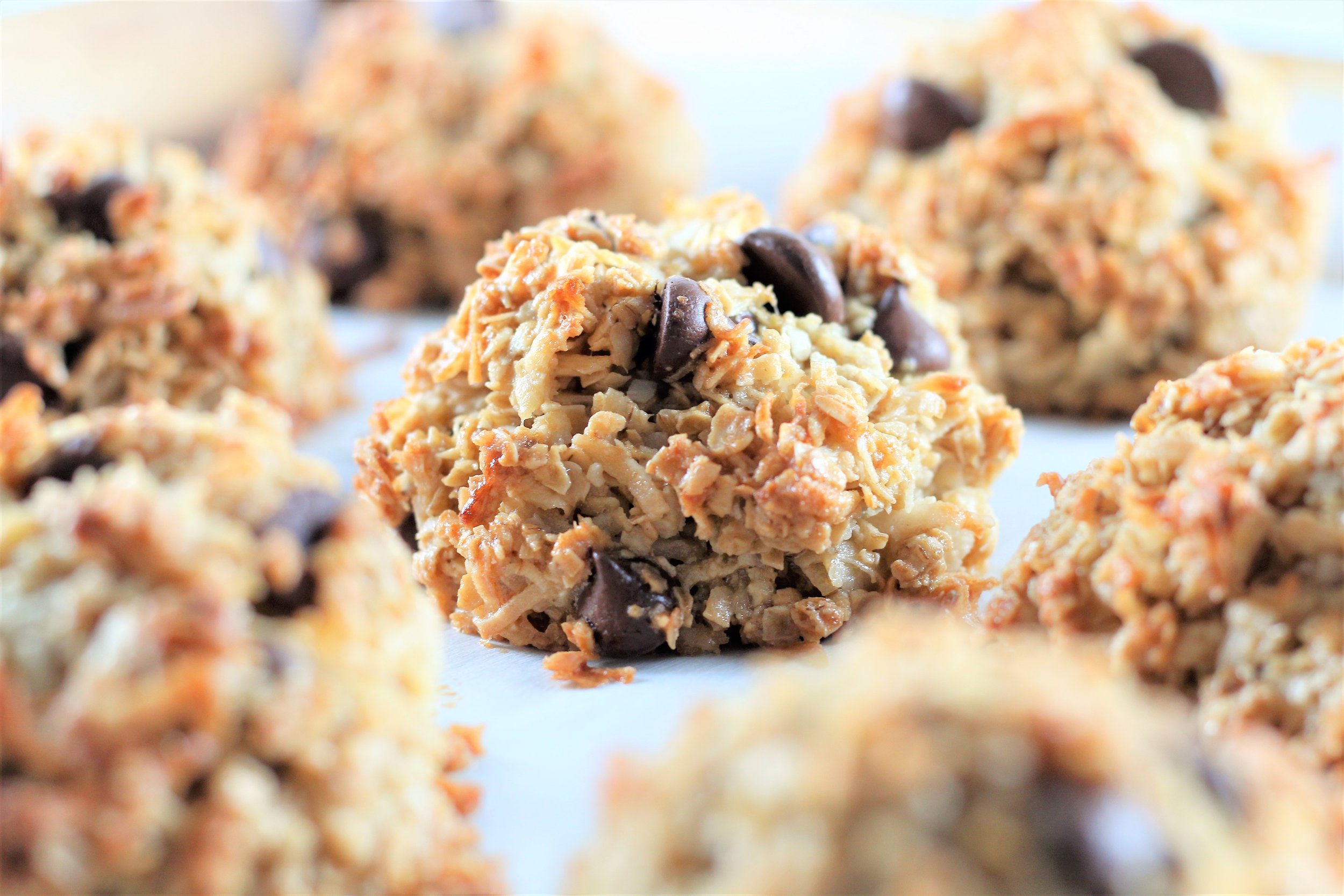  Chocolate Chip Snowball Cookies 