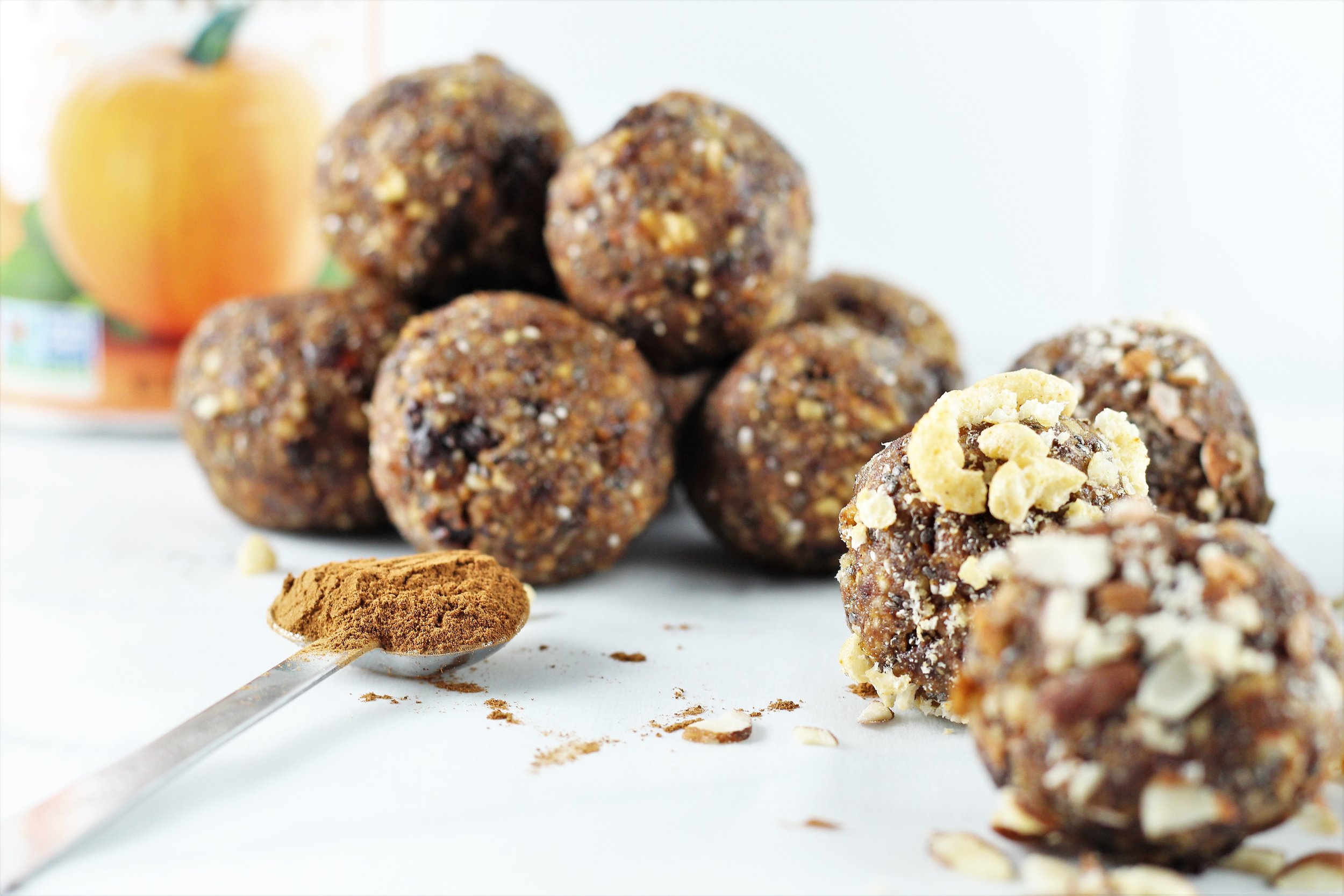 Pumpkin Pie Protein Bites