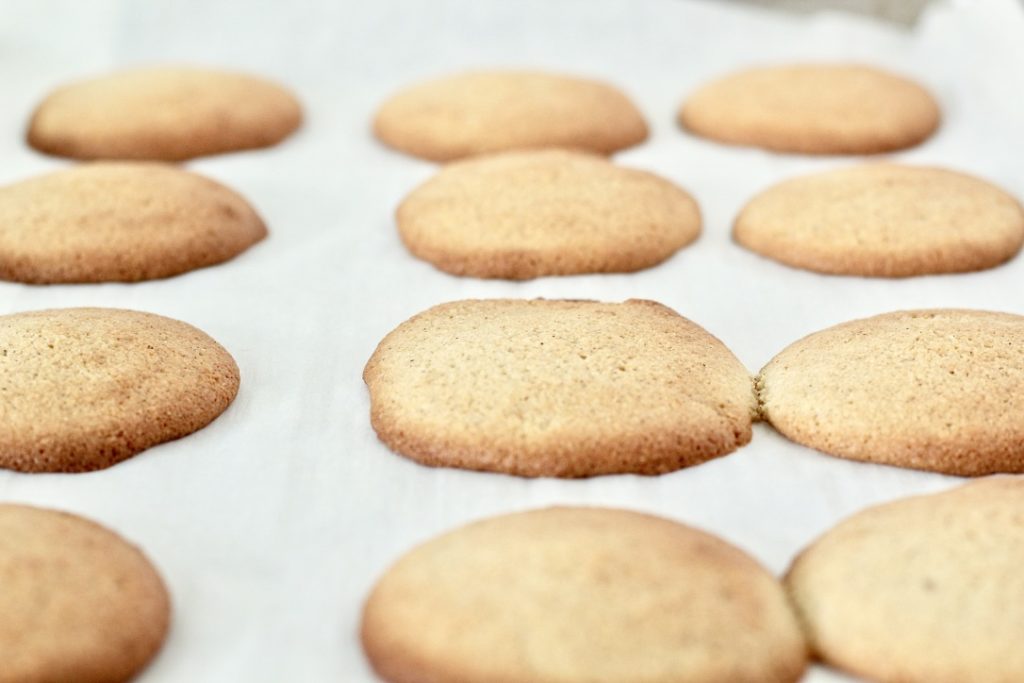 low carb sugar cookies