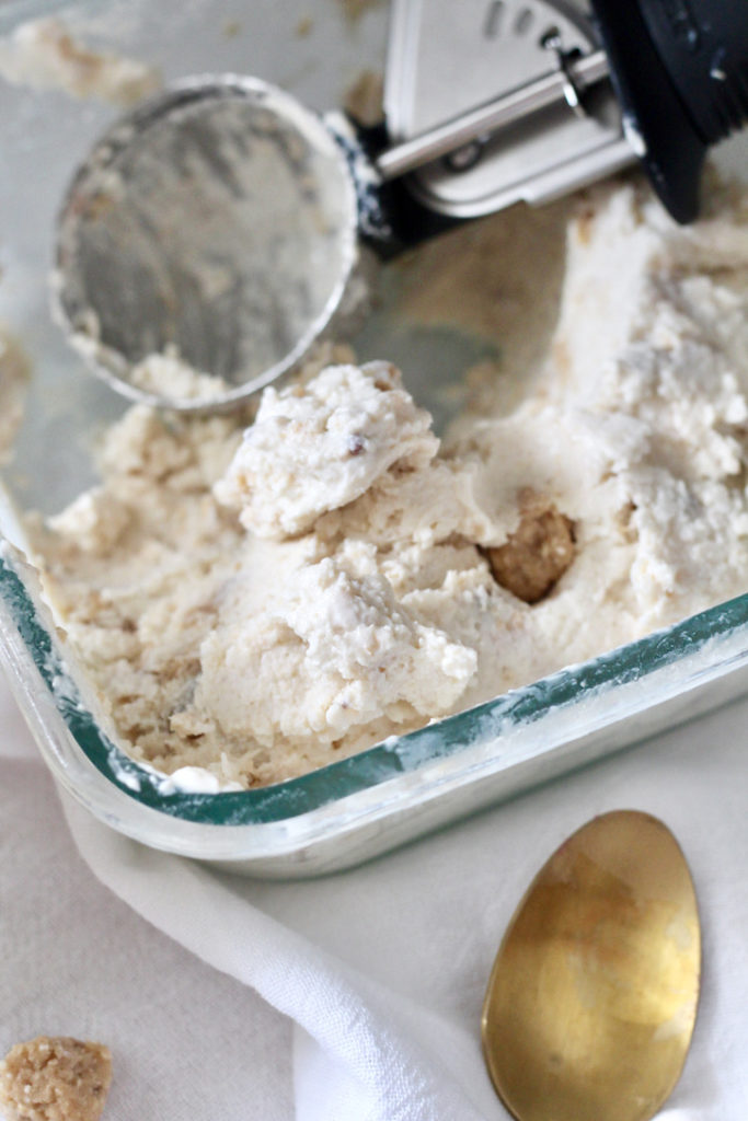 ice cream scoop in dish of homemade low carb frozen yogurt