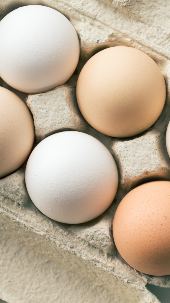 nutrient dense eggs